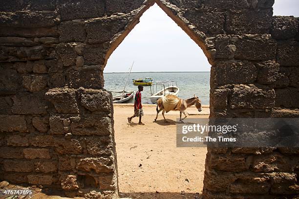 Young boy walks with his donkey beside the harbour on February 8, 2014 in Lamu Island. There are no cars on the island so donkeys and boats are the...