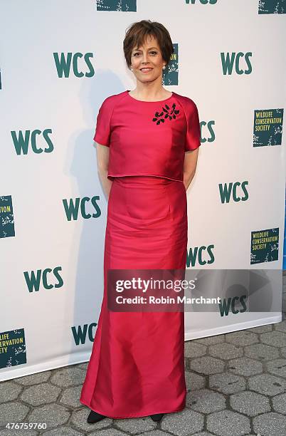Sigourney Weaver attends Wildlife Conservation Society Gala 2015: Turning Tides at Central Park Zoo on June 11, 2015 in New York City.