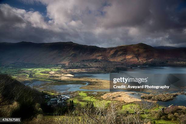 derwentwater - slyskog bildbanksfoton och bilder