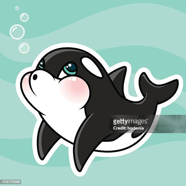 ilustraciones, imágenes clip art, dibujos animados e iconos de stock de encantadores kawaii orca carácter soplando burbujas - killer whale
