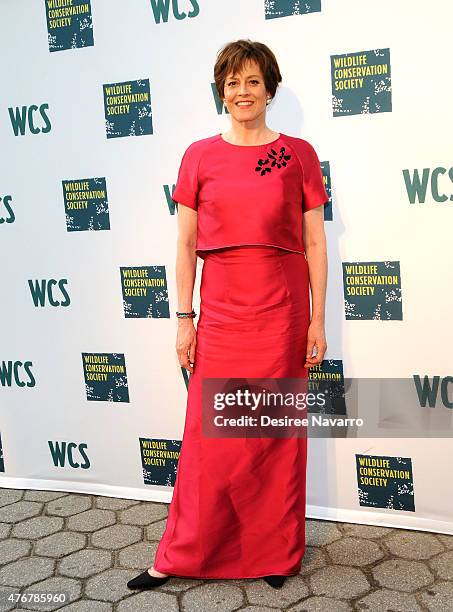 Sigourney Weaver attends Wildlife Conservation Society Gala 2015: Turning Tides at Central Park Zoo on June 11, 2015 in New York City.