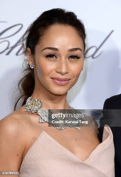 Cara Santana arrives for the 22nd Annual Elton John AIDS Foundation's Oscar Viewing Party held at West Hollywood Park on March 2, 2014 in West...