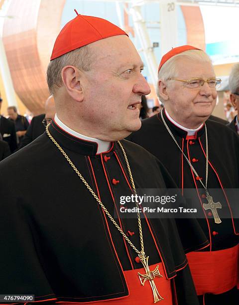 Cardinal Gianfranco Ravasi and Cardinal Angelo Scola during their visit to Expo 2015 at Milano Rho Fiera on June 11, 2015 in Milan, Italy.