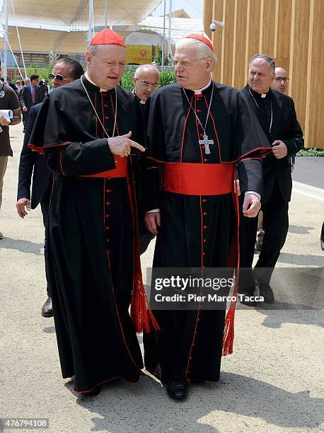 Cardinal Gianfranco Ravasi and Cardinal Angelo Scola during their visit to Expo 2015 at Milano Rho Fiera on June 11, 2015 in Milan, Italy.