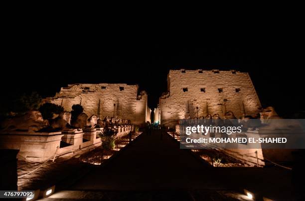 General view shows the avenue of Sphinxes leading to the Temple of Amun at the Karnak temple complex in Luxor, a town 700 kilometres south of the...