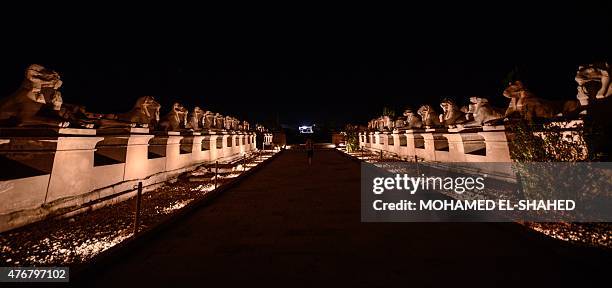 General view shows the avenue of Sphinxes leading to the Temple of Amun at the Karnak temple complex in Luxor, a town 700 kilometres south of the...