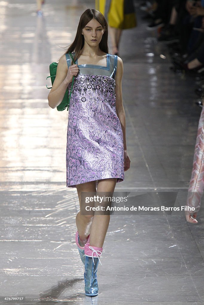 Miu Miu : Runway - Paris Fashion Week Womenswear Fall/Winter 2014-2015