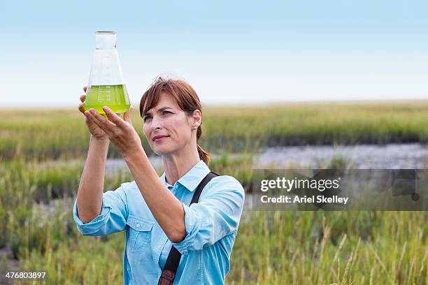 scientist working in field - bióloga imagens e fotografias de stock