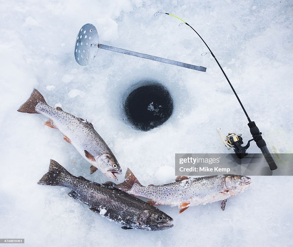 Ice fishing hole, fishing rods and trout