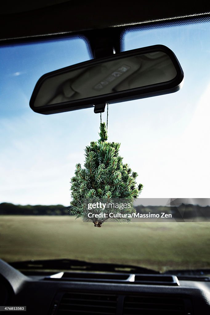 Evergreen tree on rearview mirror