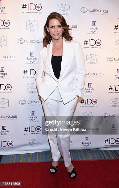Actress Amy Landecker attends the Lambda Legal 2014 West Coast Liberty Awards Hosted By Wendi McLendon-Covey at the Beverly Wilshire Four Seasons...