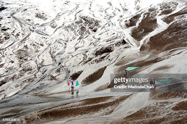 chocolate-like mudflats pattern - mud flat stock pictures, royalty-free photos & images