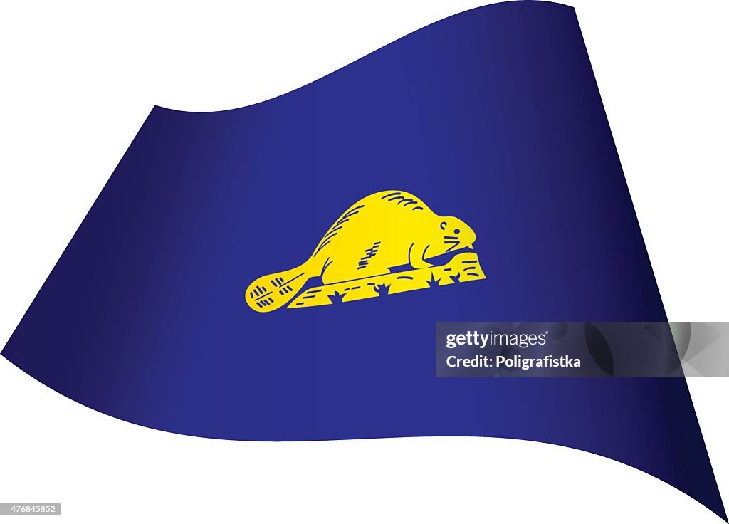 Waving Flag of Oregon - reverse