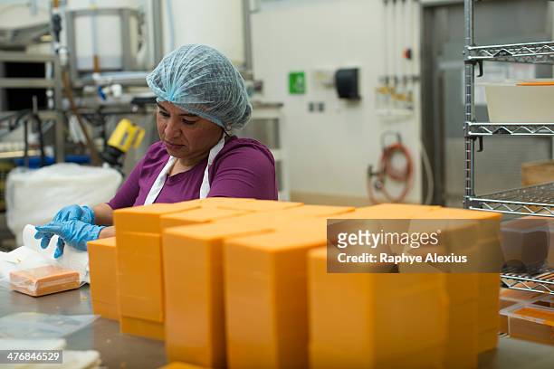 woman packaging vegan cheese in warehouse - american cheese stock-fotos und bilder