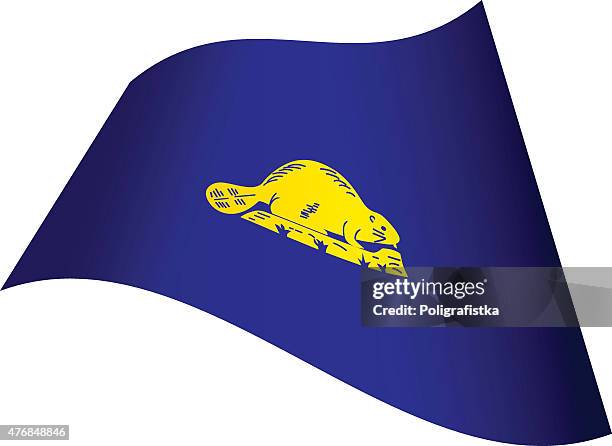 waving flag of oregon - reverse - oregon state flag stock illustrations