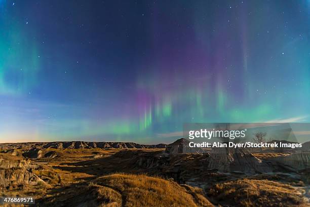aurora borealis over the badlands of dinosaur provincial park, canada. - dinosaur provincial park imagens e fotografias de stock