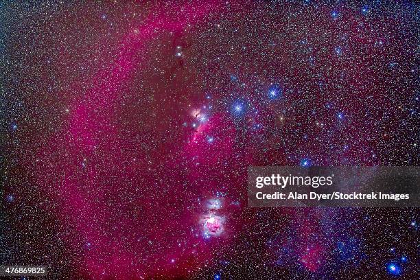 the orion nebula, belt of orion, sword of orion and nebulosity. - nebulosa cabeza de caballo fotografías e imágenes de stock