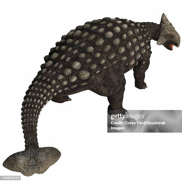 a huge armored dinosaur, ankylosaurus was a herbivore from the cretaceous period. - dinosaur skin stock illustrations