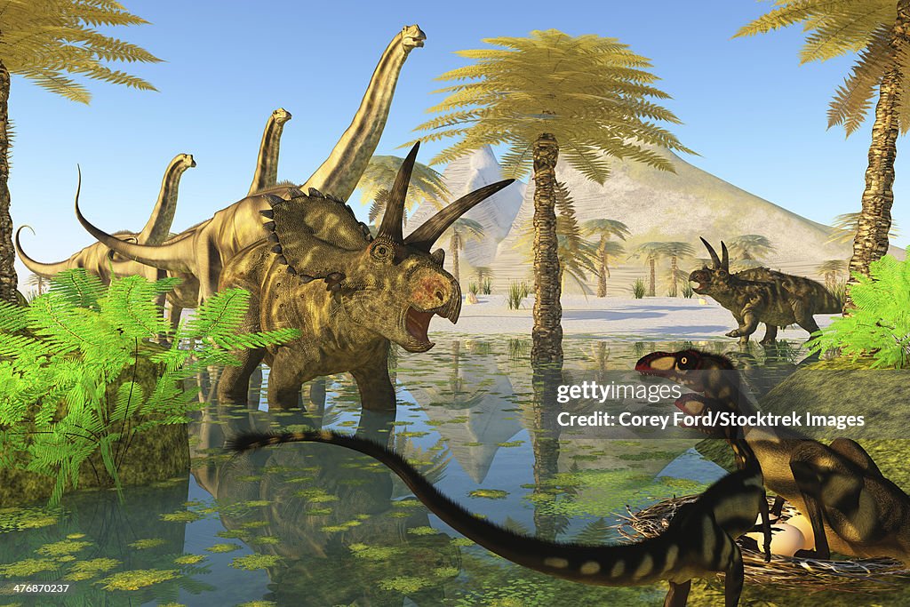 Two Dilong dinosaurs guard their nest when a Coahuilaceratops dinosaur comes over to investigate.