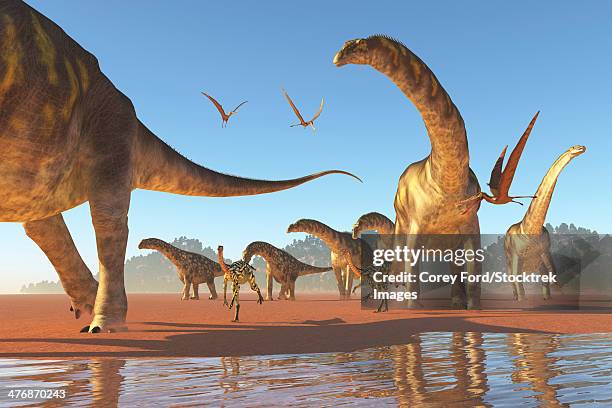 two deinocheirus move along with a herd of argentinosaurus dinosaurs eating any insects and small animals that are stirred up. - argentinosaurus stock illustrations