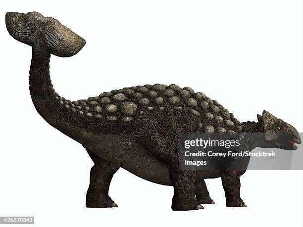 ilustrações, clipart, desenhos animados e ícones de ankylosaurus, a heavily armored herbivore dinosaur from the cretaceous period. - scute