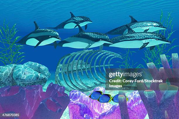 a pod of striped dolphins swim over an old boat wreck as three black-backed butterflyfish seek shelter in a coral reef. - butterflyfish stock illustrations