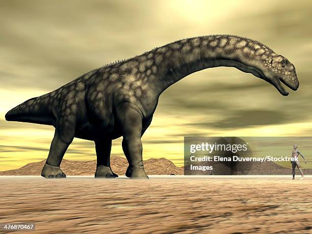 large argentinosaurus dinosaur face to face with a human in the desert. - argentinosaurus stock illustrations