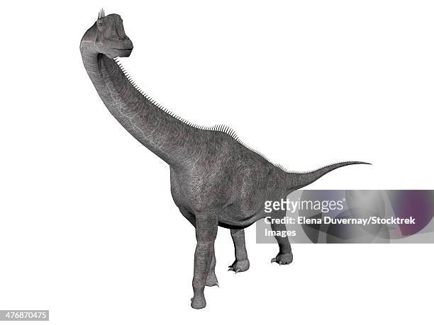 brachiosaurus dinosaur, white background. - brachiosaurus stock illustrations