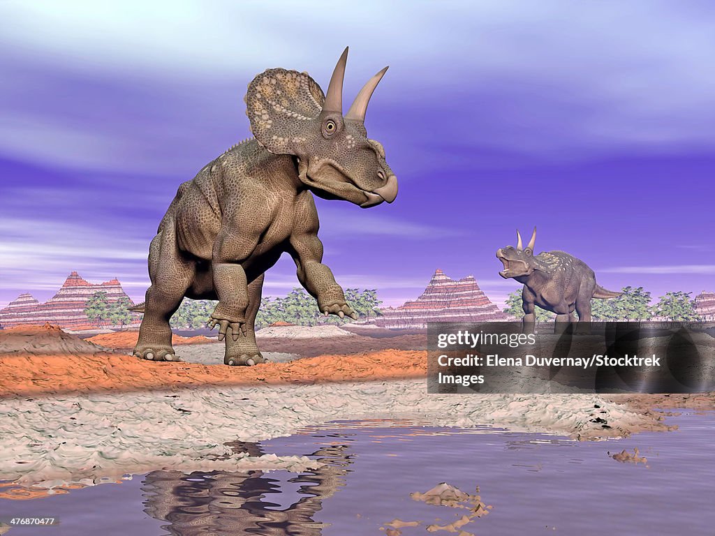 Two Nedoceratops next to water in a colorful rocky landscape.