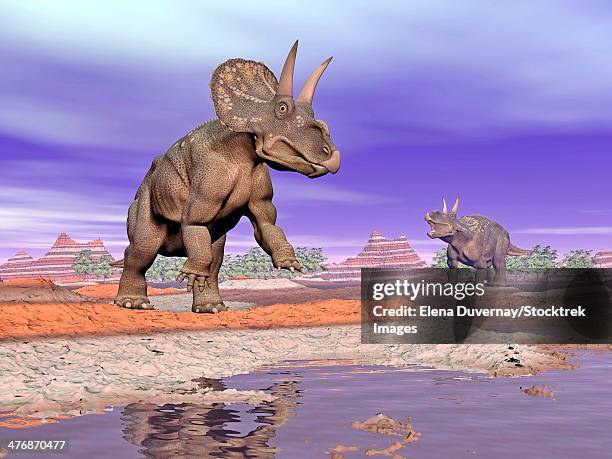 two nedoceratops next to water in a colorful rocky landscape. - diceratops stock illustrations