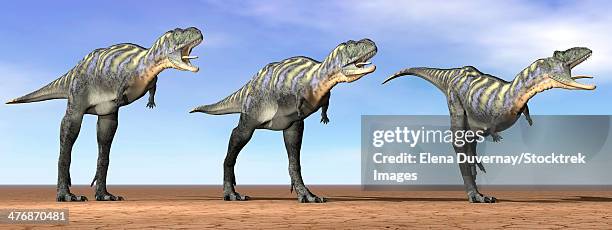 three aucasaurus dinosaurs standing in the desert by daylight. - aucasaurus stock illustrations