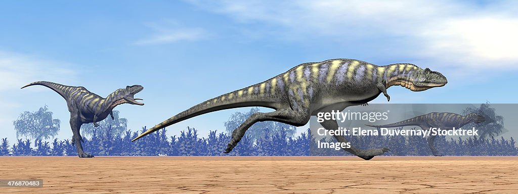 Three Aucasaurus dinosaurs running in the desert on a beautiful day.