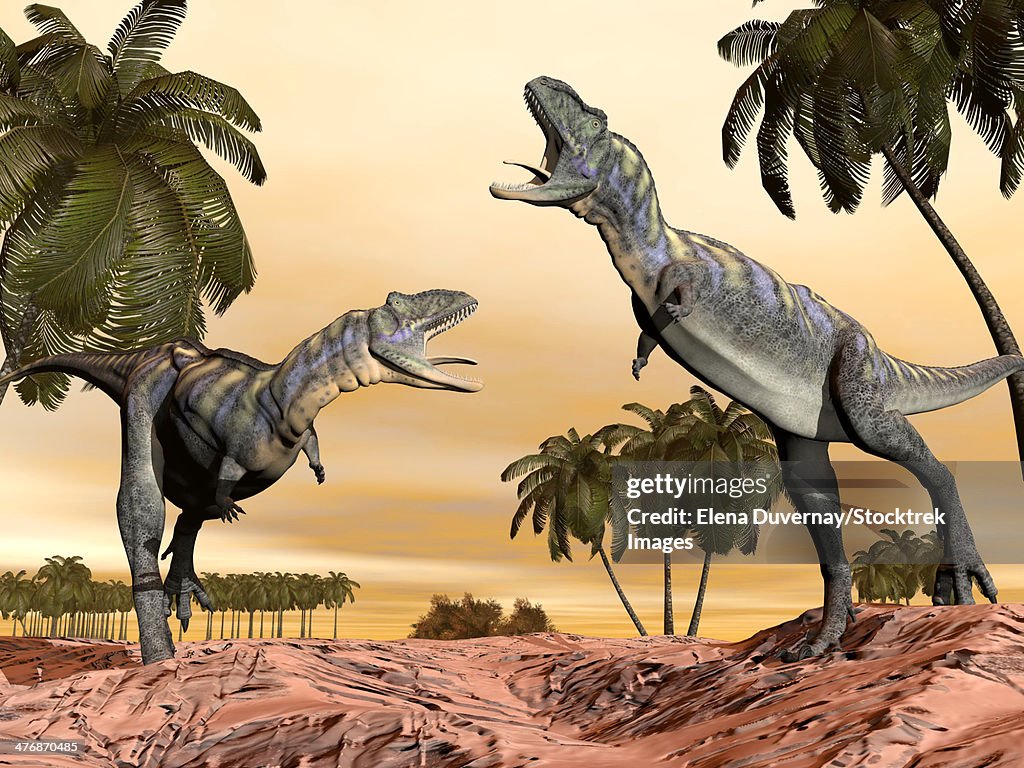 Two Aucasaurus dinosaurs fighting in desert amongst palm trees.