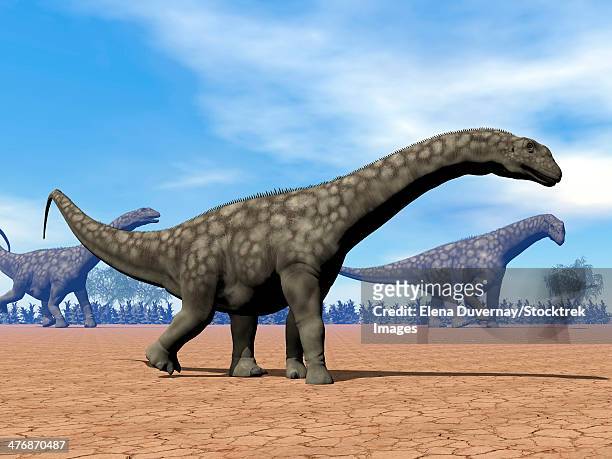 three argentinosaurus dinosaurs walking in the desert by day. - argentinosaurus stock illustrations