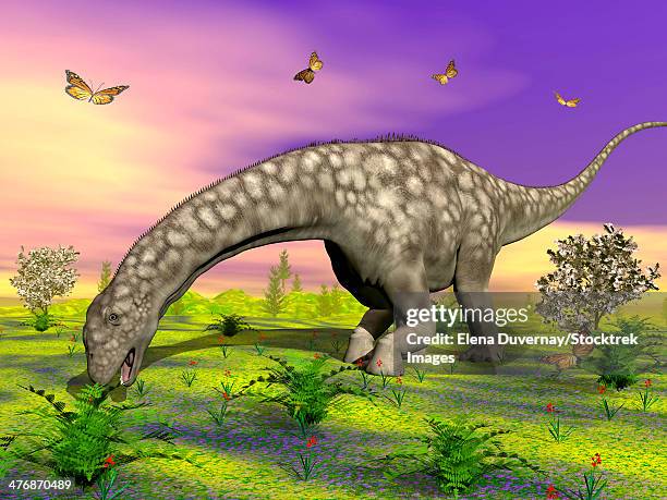 large argentinosaurus dinosaur eating small plants while surrounded with butterflies and flowers. - argentinosaurus stock illustrations