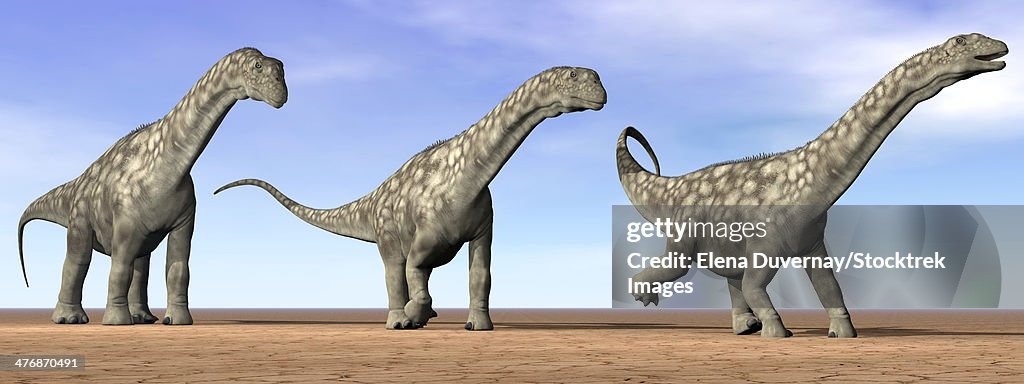 Three Argentinosaurus dinosaurs standing in the desert by daylight.