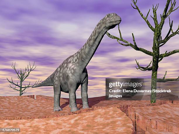 argentinosaurus dinosaur standing on the cracked desert ground next to dead trees. - argentinosaurus stock illustrations