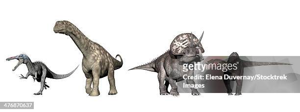 from left to right: suchomimus, argentinosaurus, zuniceratops, dicraeosaurus - argentinosaurus stock illustrations
