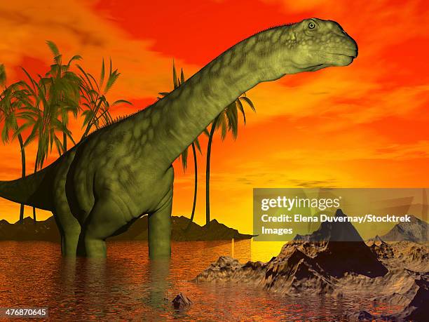large argentinosaurus dinosaur standing in water next to palm trees backdropped by a beautiful sunset - argentinosaurus stock illustrations