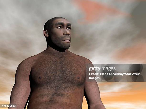 male homo erectus, an extinct species of hominid. - paleozoic era stock-grafiken, -clipart, -cartoons und -symbole
