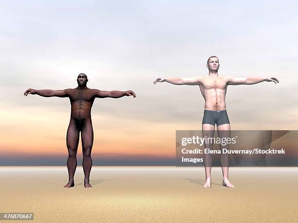 stockillustraties, clipart, cartoons en iconen met homo erectus man next to modern human being. - barbaar