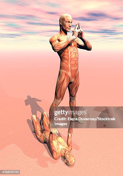 female lying on the ground and holding a peaceful male upon her two hands, musculature view. - legs apart stock-grafiken, -clipart, -cartoons und -symbole