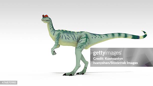 dilophosaurus dinosaur, white background. - dilophosaurus stock illustrations