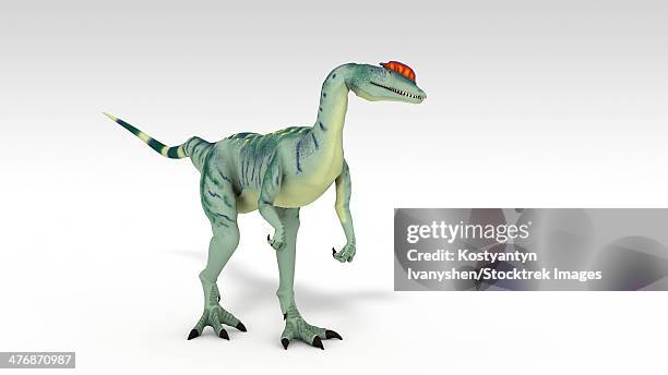 dilophosaurus dinosaur, white background. - dilophosaurus stock illustrations