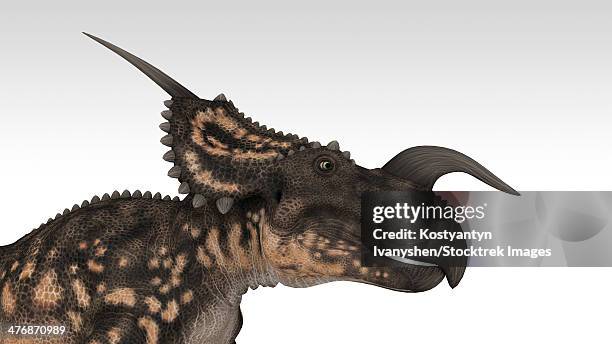 einiosaurus dinosaur, white background. - einiosaurus stock illustrations
