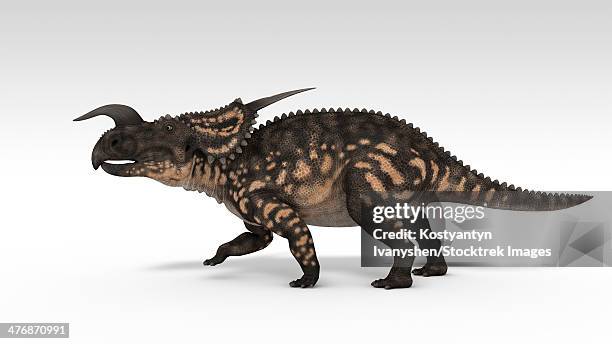 einiosaurus dinosaur, white background. - einiosaurus stock illustrations