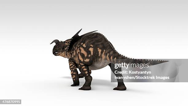 einiosaurus dinosaur, white background. - einiosaurus stock illustrations