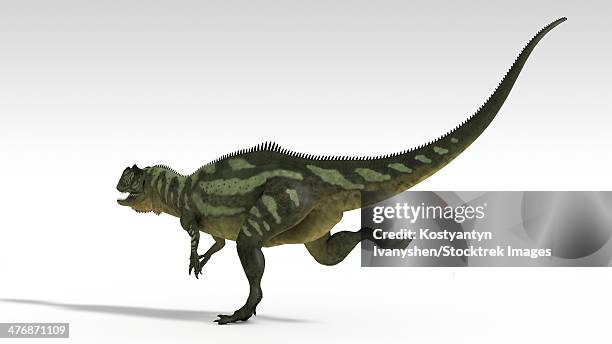 yangchuanosaurus, dinosaur, white background. - yangchuanosaurus stock illustrations