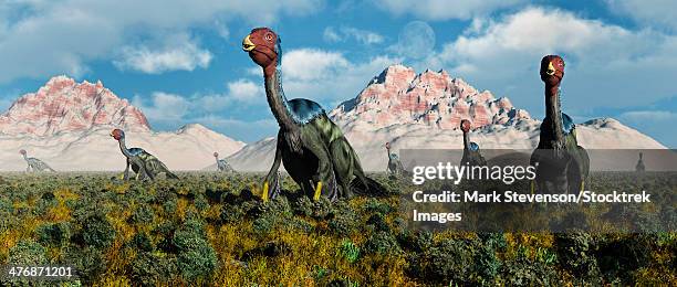 a caudipteryx nesting ground from the cretaceous period. - caudipteryx stock illustrations