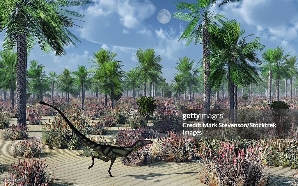 A Dilong dinosaur, the smallest member of the tyrannosaurid family.